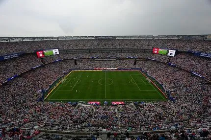Η FIFA πουλάει κομμάτια από το χορτάρι του γηπέδου του τελικού έως και 2.600 ευρώ