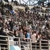 ΟΦΗ: Ξεπέρασε τα 7.000 εισιτήρια για τον τελικό του Superbet Super Cup κόντρα στην ΑΕΚ