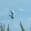 Δύο άτομα χωρίς τις αισθήσεις τους από τη σύγκρουση ελικοπτέρων στην Ψάθα