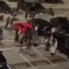 Άγρια συμπλοκή μεταξύ των οπαδών της Ντίναμο Ζάγκρεμπ και της Χάιντουκ Σπλιτ στο αεροδρόμιο του Ζάγκρεμπ