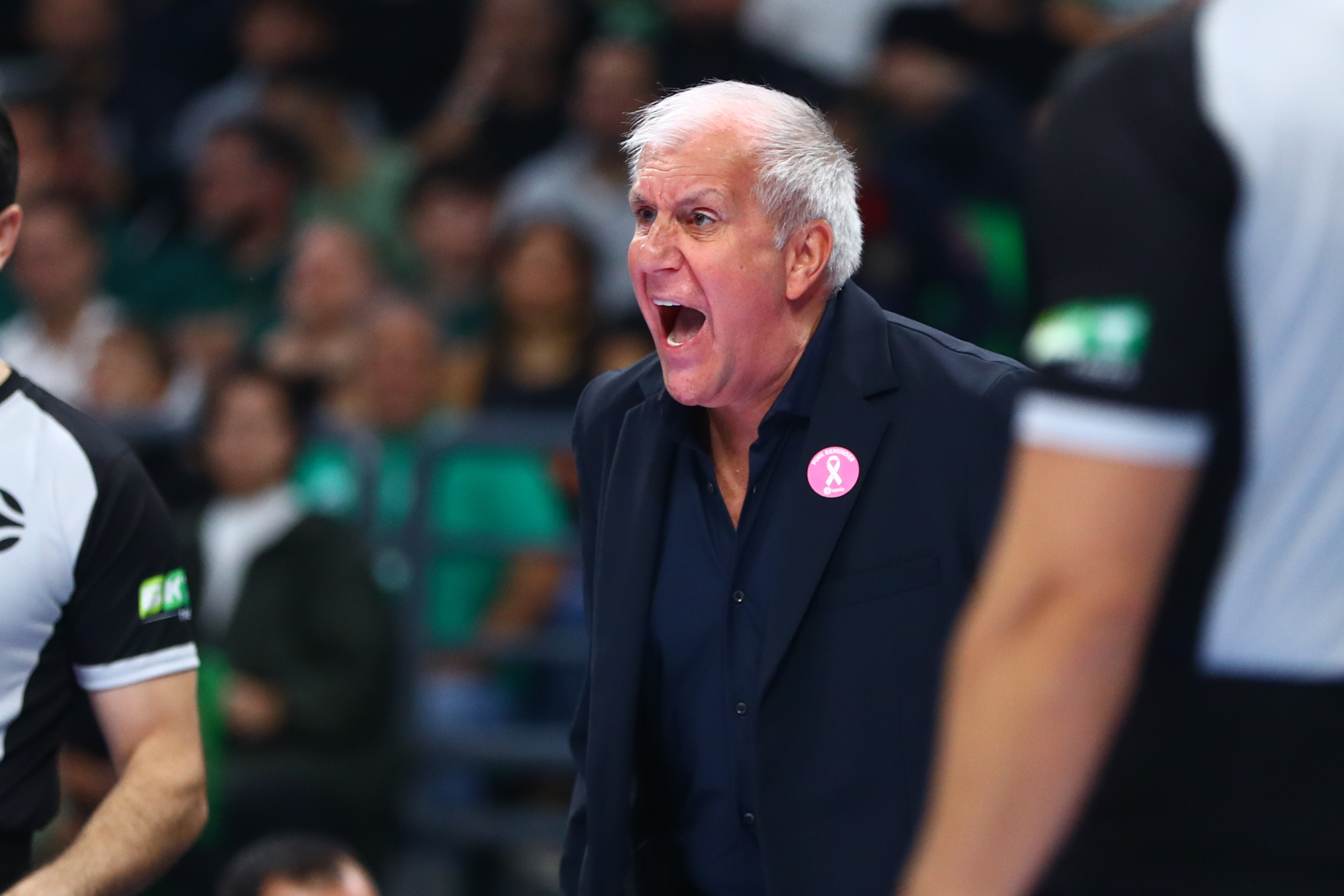 Υπέροχη κίνηση: Τι συμβολίζει η κονκάρδα που φόρεσε ο Ομπράντοβιτς και το επιτελείο του Παναθηναϊκού                                          Υπέροχη κίνηση: Τι συμβολίζει η κονκάρδα που φόρεσε ο Ομπράντοβιτς και το επιτελείο του Παναθηναϊκού
